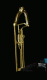 water column